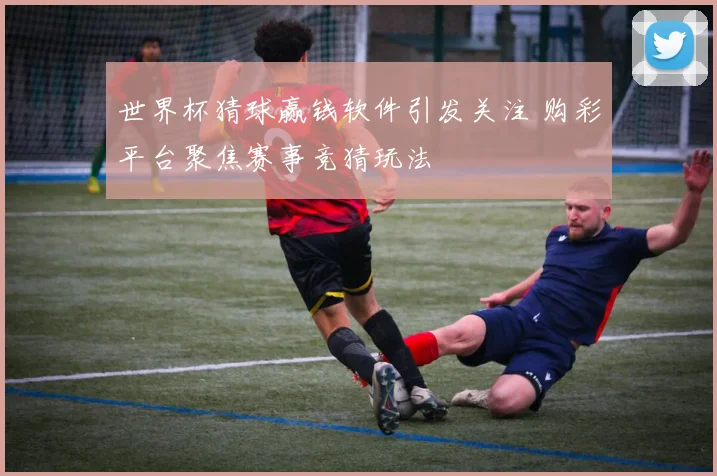 世界杯猜球赢钱软件引发关注 购彩平台聚焦赛事竞猜玩法