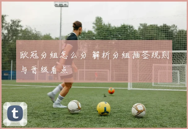 欧冠分组怎么分 解析分组抽签规则与晋级看点