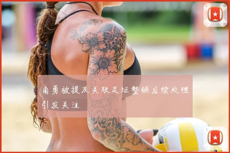 南勇被提及关联足坛整顿后续处理引发关注