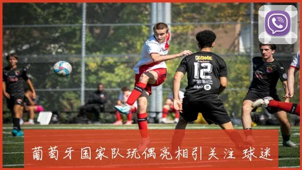 葡萄牙国家队玩偶亮相引关注 球迷收藏热度持续升温